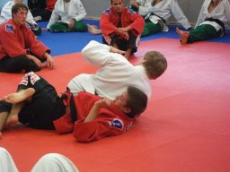 Bilder aus 2011